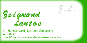 zsigmond lantos business card